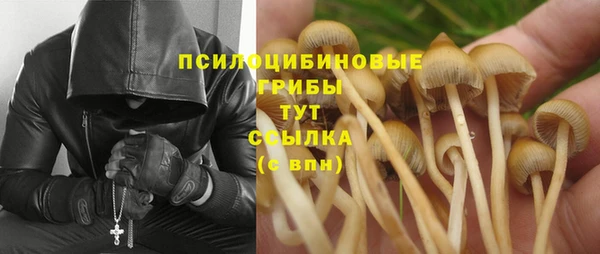 дурь Михайловск