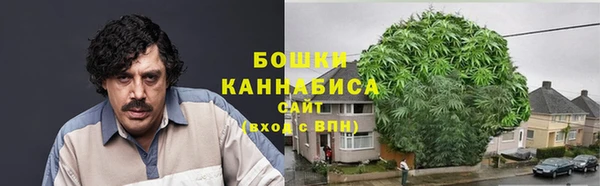 дурь Михайловск