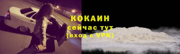 ECSTASY Михайлов