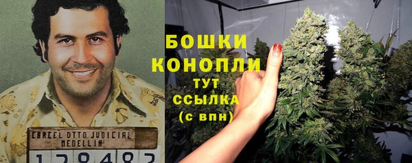 дурь Михайловск