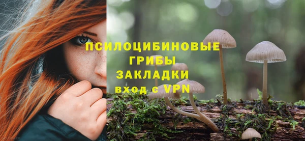 ECSTASY Михайлов