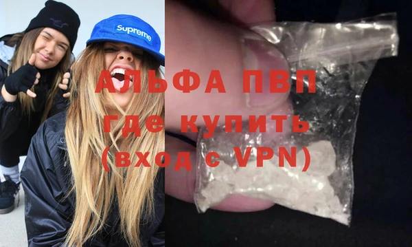 ECSTASY Михайлов