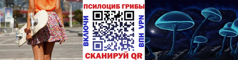 mega онион  Строитель  Псилоцибиновые грибы ЛСД 